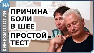 Причина боли в шее. Простой тест. Прикладная кинезиология. Проф. Л.Ф.Васильева