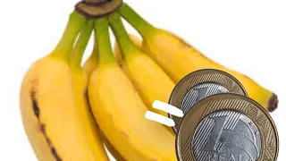 Palma da banana