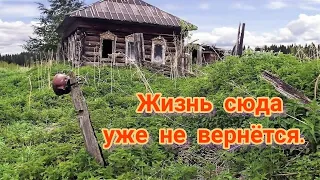 Там, куда жизнь уже не вернется. Одна из заброшенных деревень России.