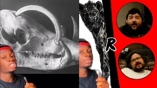 Animals that Got the Middle Finger from Evolution - @mndiaye_97 | RENEGADES REACT