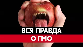 Что такое ГМО ПРОДУКТЫ? Вред ГМО преувеличен.