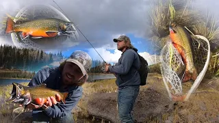 GIANT BROOK TROUT FISHING!! (Catch, Cook, and Camp)