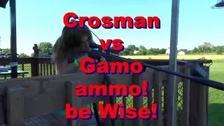 Crosman vs Gamo