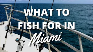 What To Fish For In Miami - Deep Sea Fishing in Miami