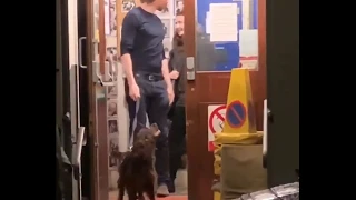 Tom Hiddleston and his dog Bobby - credit to @gizmomis on Twitter