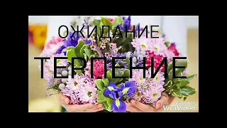 ОЖИДАНИЕ - Вячеслав Бойнецкий