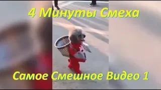 4 Минуты смеха Смешные видео 1