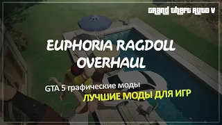 Euphoria Ragdoll Overhaul 🎮 GTA 5 Графические моды 📺  Лучшие моды для игр