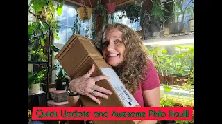 Surprise Philodendron Unboxing Gorgeous Plants!!