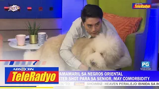 ALAMIN: Paano nagbi-breed ng giant poodle? | Sakto (17 Aug 2022)