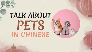 How to Talk about Pets in Mandarin Chinese