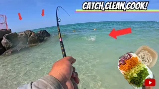 Caught DINNER at this JETTY and This Happened! (Johns pass Fishing) South Florida*