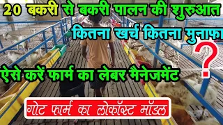 20 बकरी पर कितना खर्च और कितना मुनाफा || Goat Farm का लेबर मैनेजमेंट || Goat Farm Low Cost Model