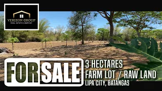 For Sale 3 Hectares farm lot in Lipa City Batangas