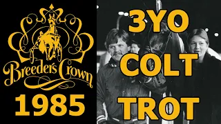 1985 Breeders Crown - Prakas - 3YO Colt Trot