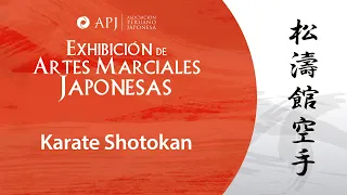 Conociendo las artes marciales japonesas: Karate Shotokan