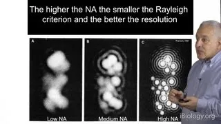 Microscopy: Resolution in Microscopy (Jeff Lichtman)