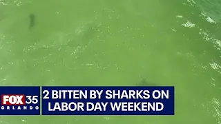 2 shark bites reported at same Central Florida beach on Labor Day