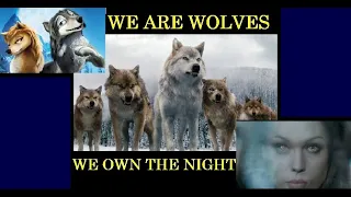 We Own The Night - Wolves