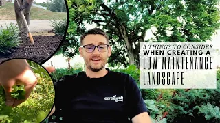 5 Things to Consider when Planning a Low Maintenance Landscape