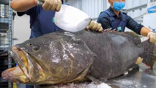 Amazing Fish Cutting Skills, Taiwanese Seafood Collection! / 驚人的技巧！魚的切割技能大合集