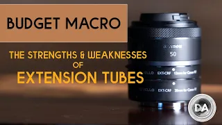 Cheap Macro?  The Pros and Cons of Extension Tubes