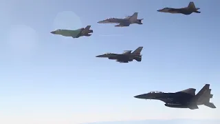 Five Major Fighter Aircraft Types Together in Formation! F-15 , F-16, F/A-18, F-22 and F-35!