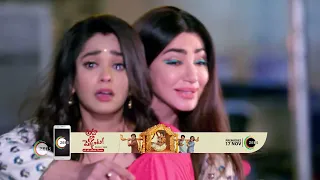 Kumkum Bhagya - Hindi TV Serial - Ep 2289 - Best Scene - Shabir Ahluwalia, Sriti Jha - Zee TV