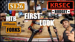 KRSEC 100mm Budget Fork with Rebound