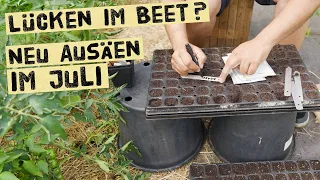 Jetzt aussäen und Lücken im Beet schließen! Aussaaten im Juli im Gemüsegarten für Selbstversorger