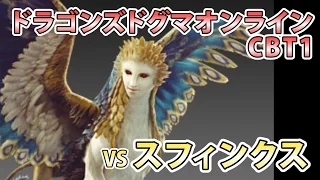 【実況】ドラゴンズドグマオンライン CBT1【VSスフィンクス】