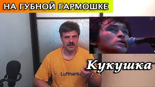 Кукушка на губной гармошке