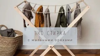 Лайфак - как постирать вещи без порошка. Мыльные орехи - средство известное с древних времен.