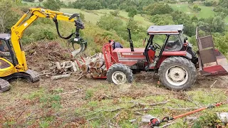 Fiatagri 100/90 & JCB 8060 [ESBOSCO FORESTALE]