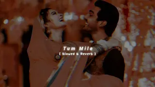 TUM MILE 🥀 || (SLOW+REVERB) ROMANTIC SONGS BOLLYWOOD SONGS || #slowedandreverb