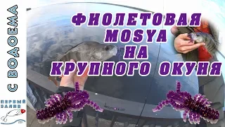 ФИОЛЕТОВАЯ MOSYA НА КРУПНОГО ОКУНЯ