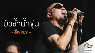 บัวช้ำน้ำขุ่น - อี๊ด FLY | Songtopia Livehouse