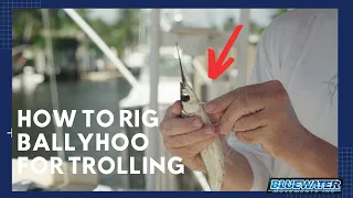 How to Rig a Ballyhoo Fast & Easy for Trolling