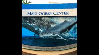 Maui Ocean Center - Make Music Hawaii