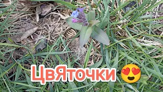 24.04.24. Поговорим об ответственности...