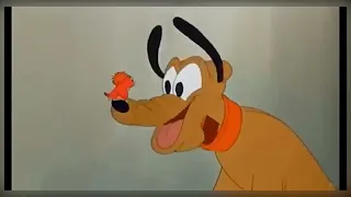 donald duck chip and dale cartoon - Mickey Mouse, Pluto in Russian all series in a row