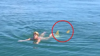 6 Shark Encounters You Should Never Watch