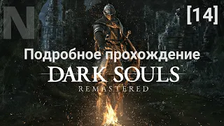 Подробное прохождение Dark Souls Remastered в 2K. Часть 14. Катакомбы