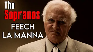 The Sopranos: What Was Feech La Manna's Problem?