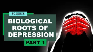 Biological Roots of Depression | Alex Riley on Freud, Depression and the Unconscious (part 1)