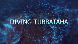 Diving Tubbataha