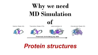 Why we need MD Simulation of proteins | Molecular Dynamics Simulations