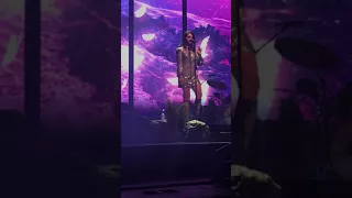 Scarborough Fair (Simon & Garfunkel cover) - Lana Del Rey live at Mandalay Bay, Las Vegas 2/16/18