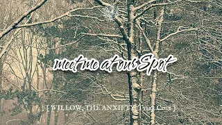 WILLOW, THE ANXIETY, Tyler Cole - Meet Me At Our Spot (audio)