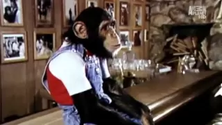 Michael Jackson and Bubbles Animal Planet Documentary Part 3 of 5